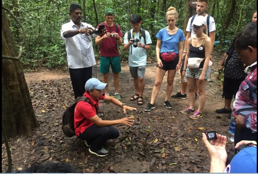 Private Cu Chi & Mekong Delta Tour: History Meets Nature - Honey tea, seasonal fruit, and folk music: the included moments that feel like company