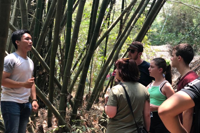 Private Cu Chi Tunnels Tour - Explore History & Off-the-path Local Sites - The ride through rural Ho Chi Minh City: why the drive is part of the tour