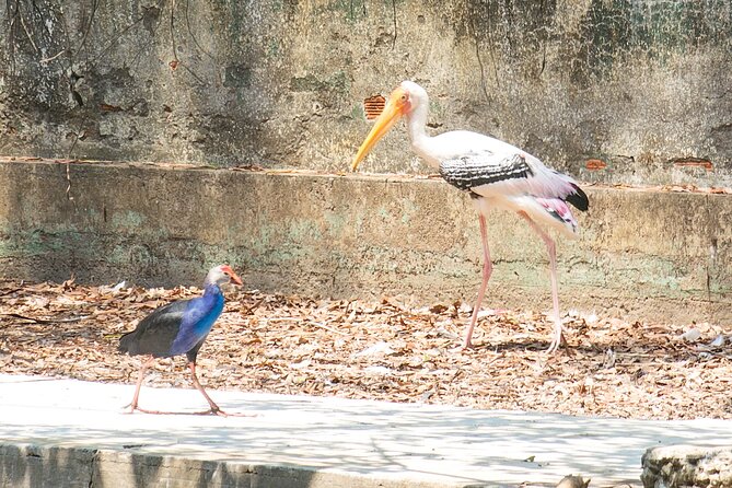 Private Full Day Mekong Delta Tour to Dong Thap Muoi Wetlands - Timing and travel: how a long Mekong Delta day stays enjoyable