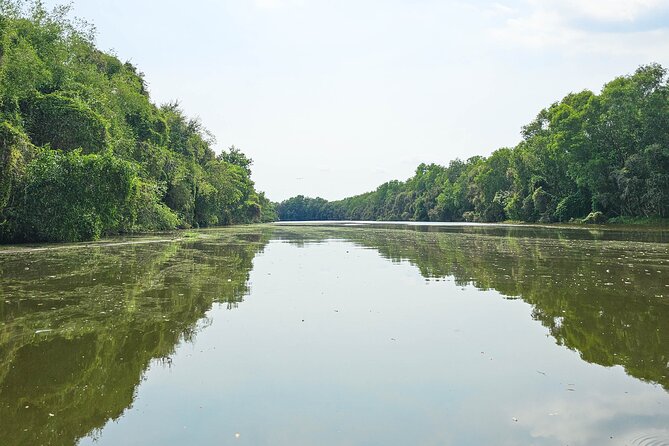 Private Full Day Mekong Delta Tour to Dong Thap Muoi Wetlands - Private tour value: what $128 buys (and what to check before you go)
