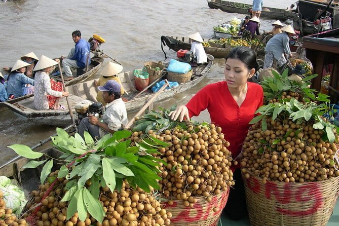 Private Luxury Tour Mekong Delta 1 day - Key Things You’ll Really Notice on This Mekong Day