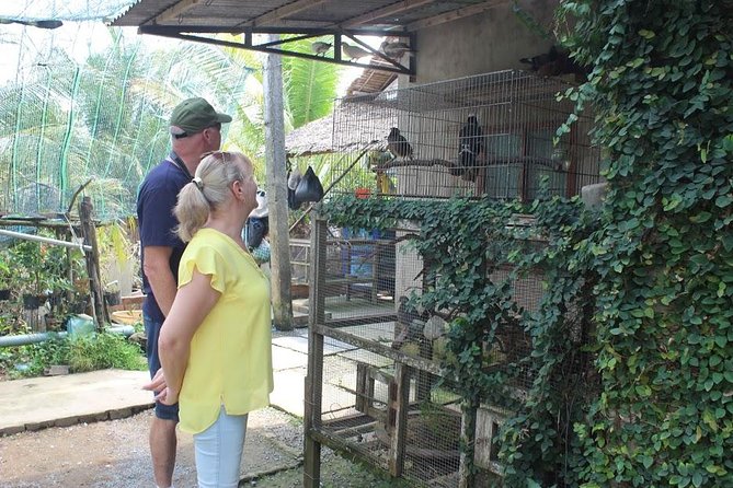 Private Mekong Delta 1 day - Horse Riding and the Day’s Transport Mix: Fun, but Keep Expectations Real