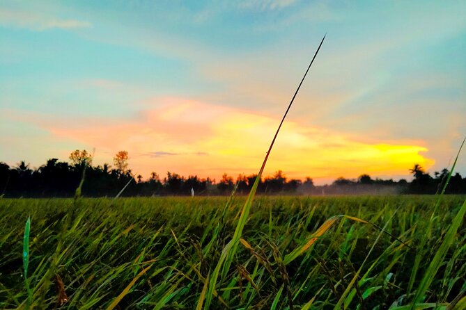 PRIVATE Mekong Delta 1 Day with Kayaking, Biking & Cooking - Bike and kayak time: how to enjoy the countryside without frying