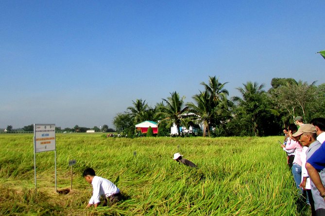 PRIVATE The Tunnels Of Cu Chi Half day tour - Timing and weather: how to plan around the tunnel day