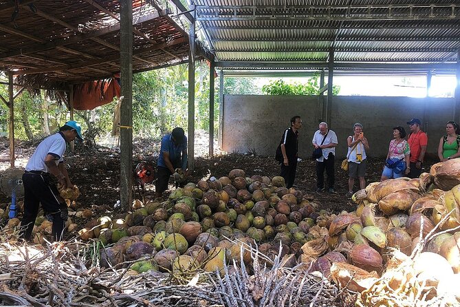 Private tour: Explore the authentic rural life in Ben Tre - Mat weaving by handloom: try the craft, not just watch