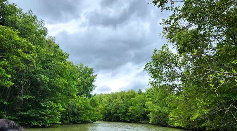 Sai Gon – Can Gio – Monkey Island 1 Day Tour - Timing: A Short 6-Hour Day That Still Packs a Lot In