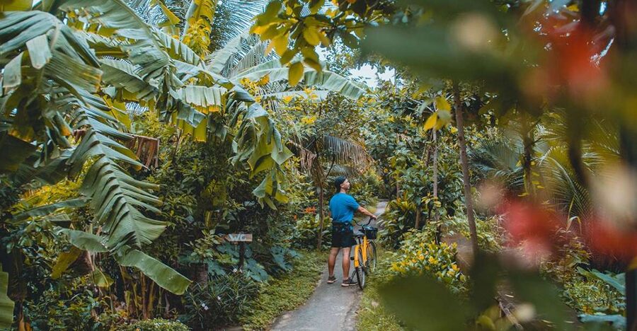 Saigon's Last Mekong Countryside Cycle Tour-Ho Chi Minh City - Price and value: is $50 worth it for 4 hours in the Mekong-style countryside?
