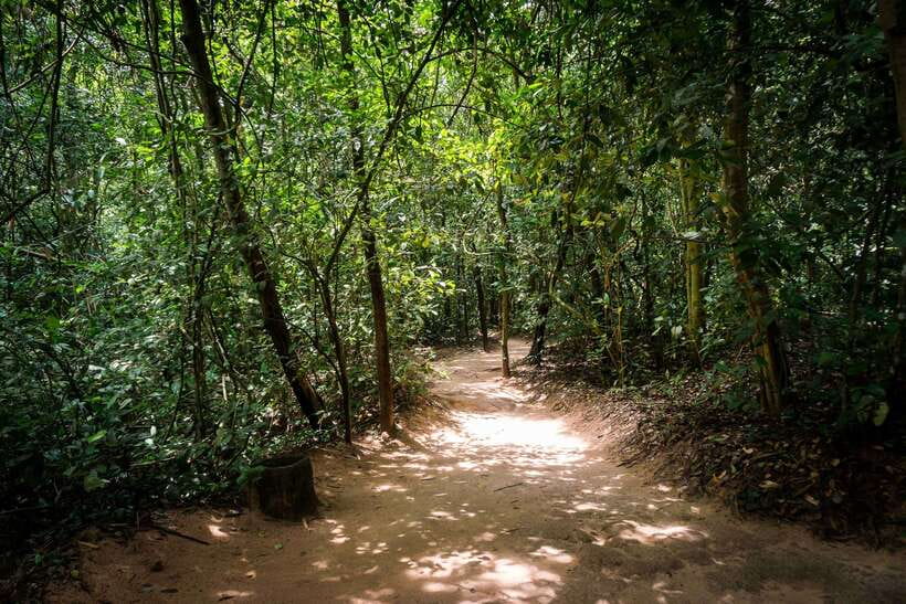 Small Group Full-Day Cu Chi Tunnels and Mekong Trip - Getting Why Cassava and Tea Matter in Wartime