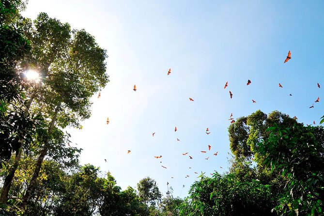 Small-Group Tour to Can Gio Vam Sat Mangrove Forest - Crocodile Lake Walk and Monkey Spotting at the Forest Edge