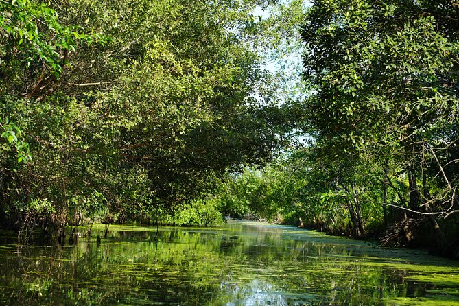 Southern Forest Tour – Explore Hau Giang Nature - Pickup, mobile ticket, and what to bring for Hau Giang