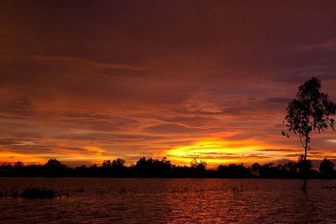 Sunset cruise and Saigon by night tour - The Switch at 6:15 pm: Motorbike Night Tour Starts Right After the Cruise
