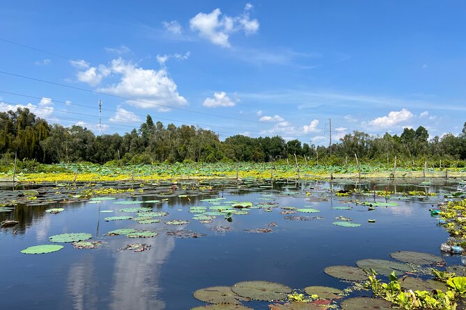 Tan Lap Floating Village Authentic Mekong Delta Nature Tour - Entering Tan Lap Village around 11:00 AM: electric transport and the first canal scenes