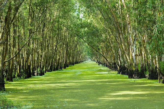 Three-Day Mekong Delta Private Tour - Including Tra Su Bird Sanctuary - Getting picked up in Ho Chi Minh City at 7:30am