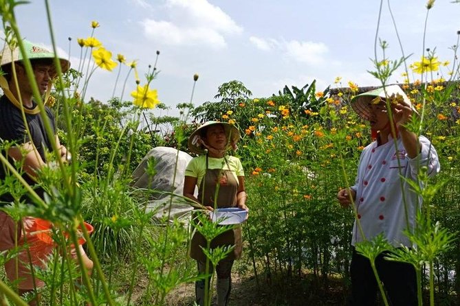 Unique farm to Table cooking class in Saigon - The Cooking Lesson: Four Dishes, One Shared Goal