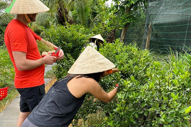 Unique Farm to Table Cooking Class with Top Chef in Vietnam - Price and value: what $67 buys when you’re not just watching