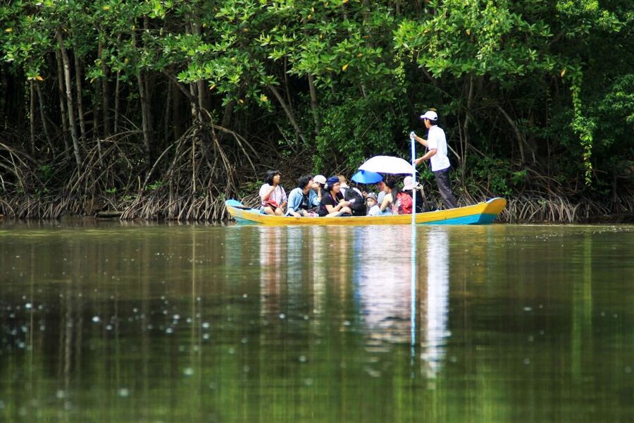 Vam Sat Mangrove Forest Private Tour from Ho Chi Minh City - Vam Sat Eco Park: gibbons, monkeys, birds, and the fun kind of searching