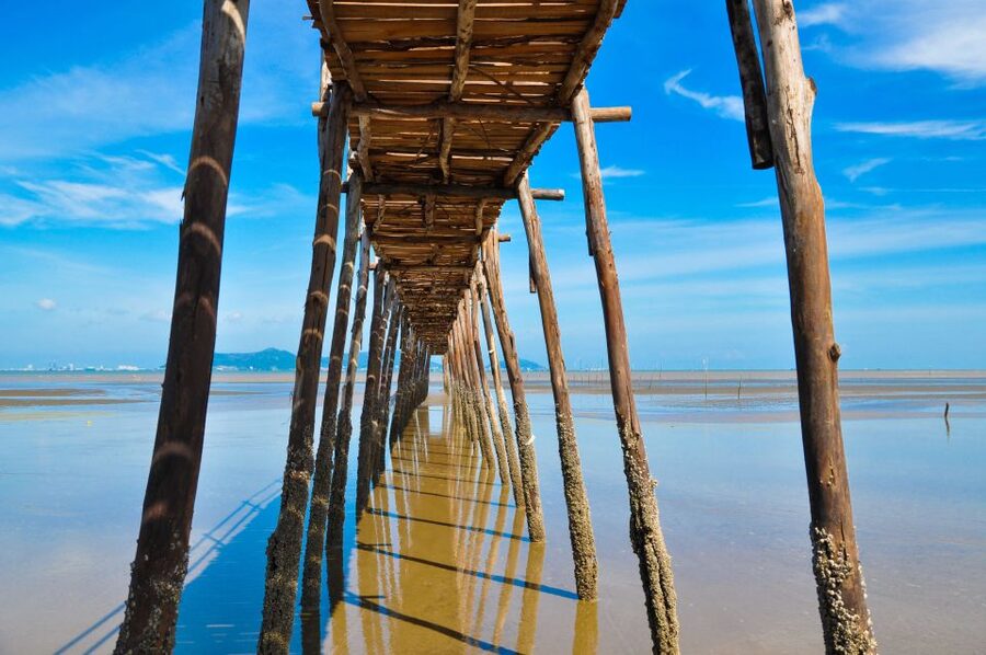 Vam Sat Mangrove Forest Private Tour from Ho Chi Minh City - The crocodile reserve: learning, not just thrills