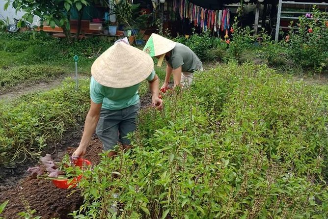 Vietnamese Cooking Class and Cu Chi Tunnels Tour from Ho Chi Minh City - Group Size, Pickup, and Timing: The Part That Can Make or Break Your Day