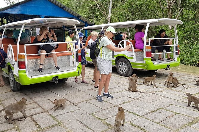 VIP Tour in Vam Sat: Can Gio Mangrove Forest by SpeedBoat - Cruising Out of Bach Dang Pier: the Saigon River warm-up