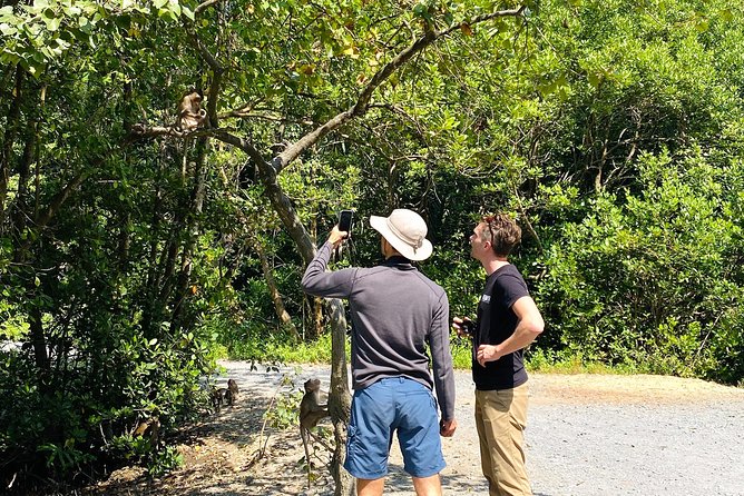 VIP Tour in Vam Sat: Can Gio Mangrove Forest by SpeedBoat - Itinerary flow: what happens first, what happens after, and why it works