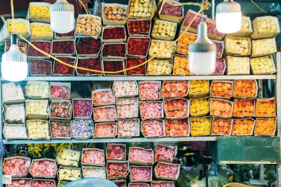 Visit 5 Districts & The Hidden Gems In Saigon By Motorbike - District 10: Ho Thi Ki Flower market and why it’s worth the detour