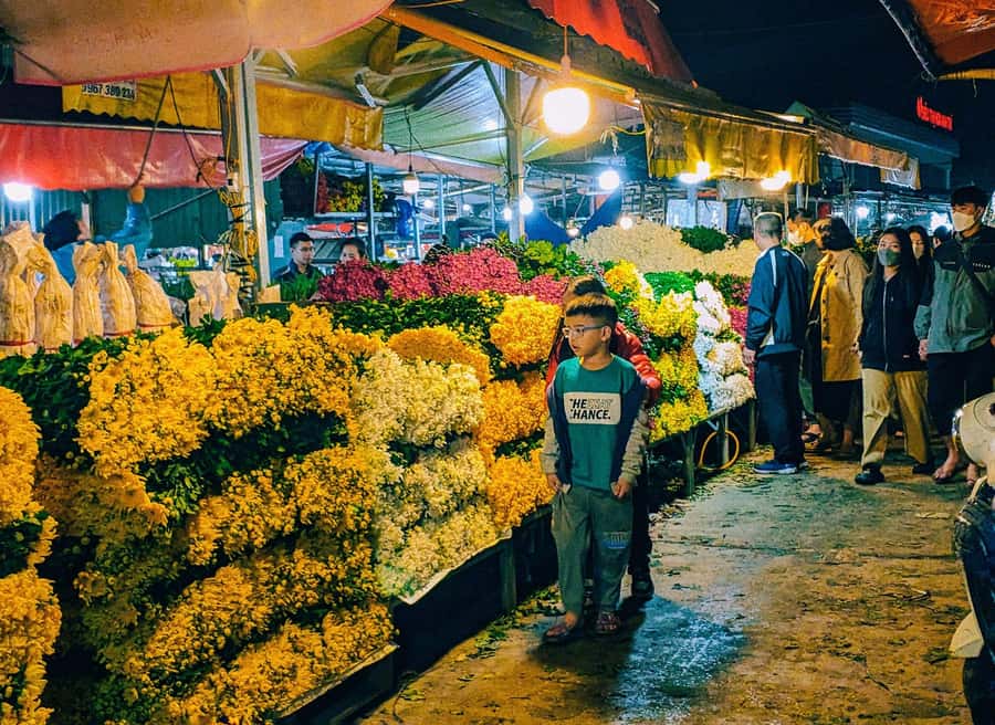Visit 5 Districts & The Hidden Gems In Saigon By Motorbike - Your guide, your pace: English skills and safety first