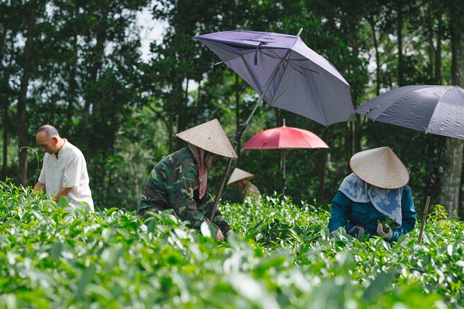 Xin Chao Vietnam 11 Days - Departure from Ho Chi Minh City - Hue’s Perfume River, imperial citadel, and royal tombs